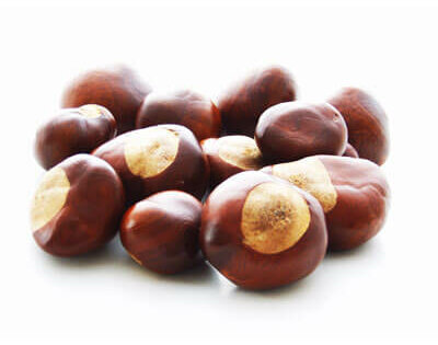 chestnuts-400x315.jpg